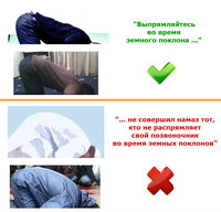 спинровн.jpg