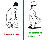 Спины.jpg