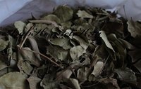 listya-sidra-zelenyj-lotos-100gr.jpg